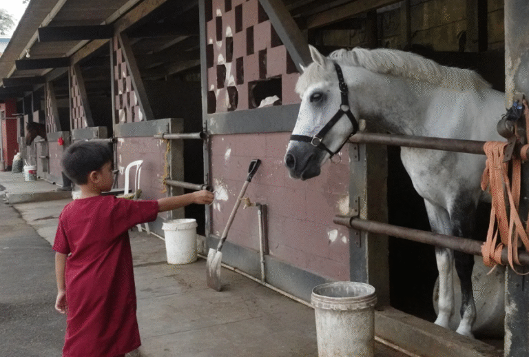 Sekolah Alam Castalia (SACA) (18)